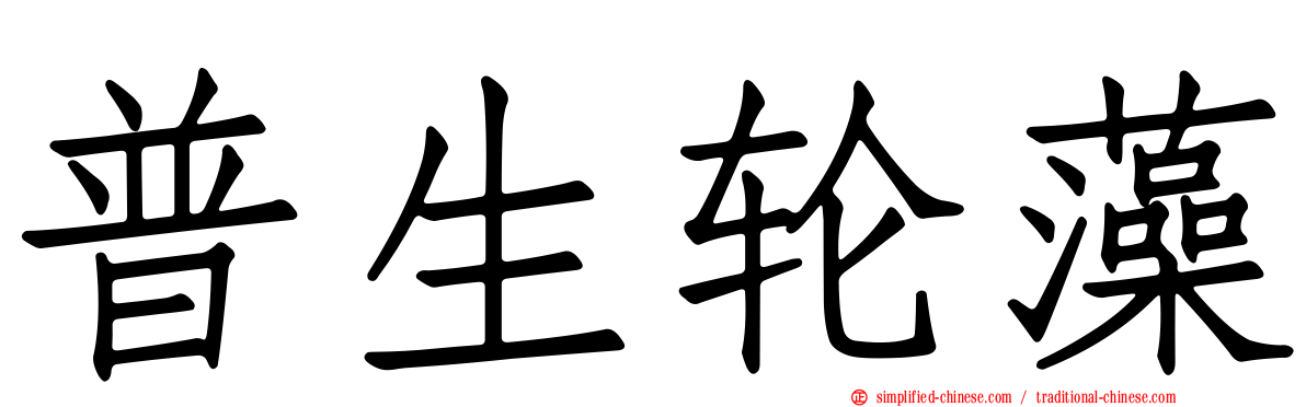 普生轮藻