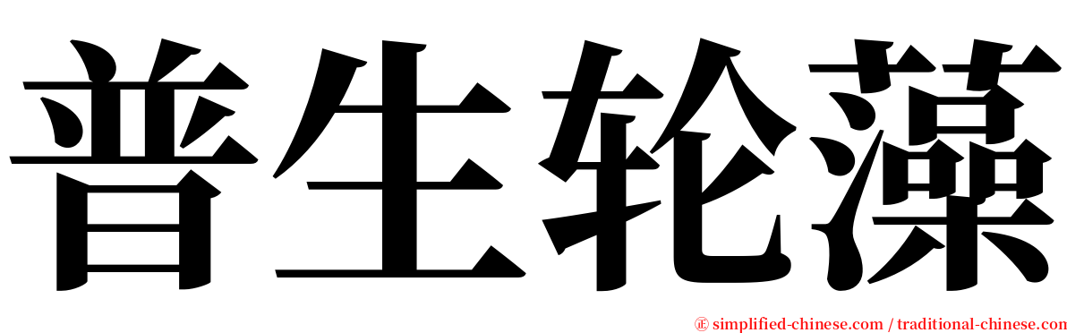 普生轮藻 serif font