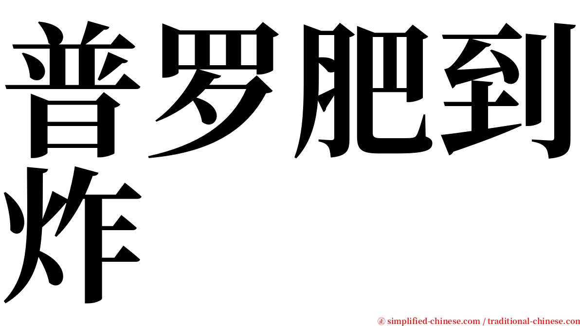 普罗肥到炸 serif font