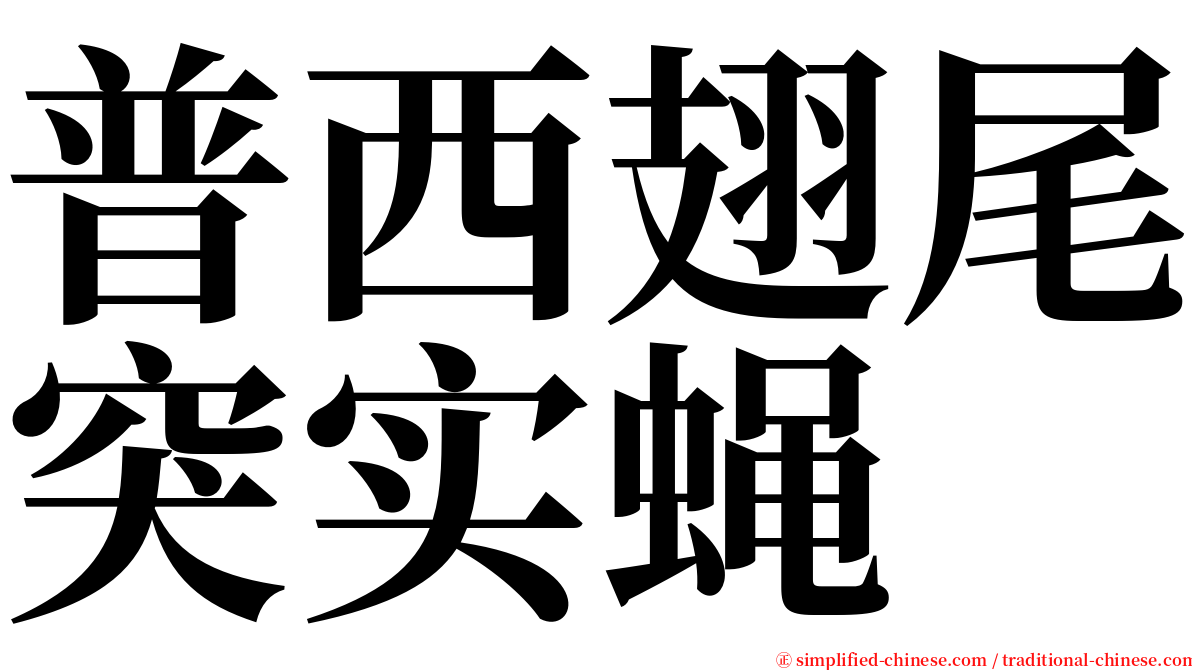 普西翅尾突实蝇 serif font