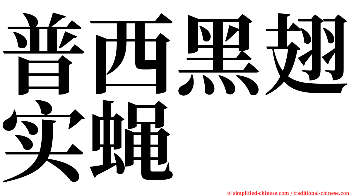 普西黑翅实蝇 serif font