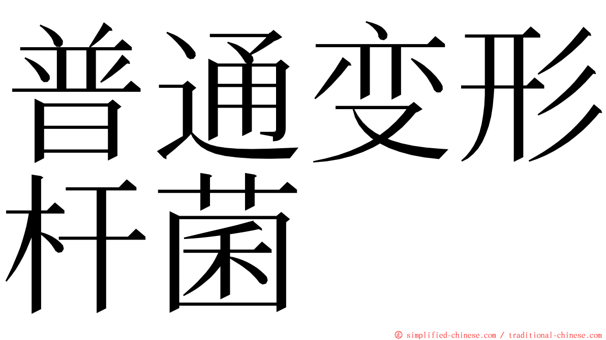 普通变形杆菌 ming font