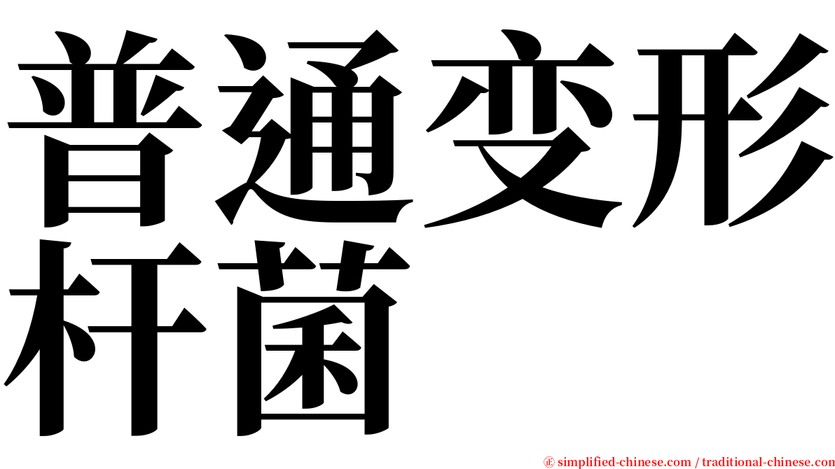 普通变形杆菌 serif font