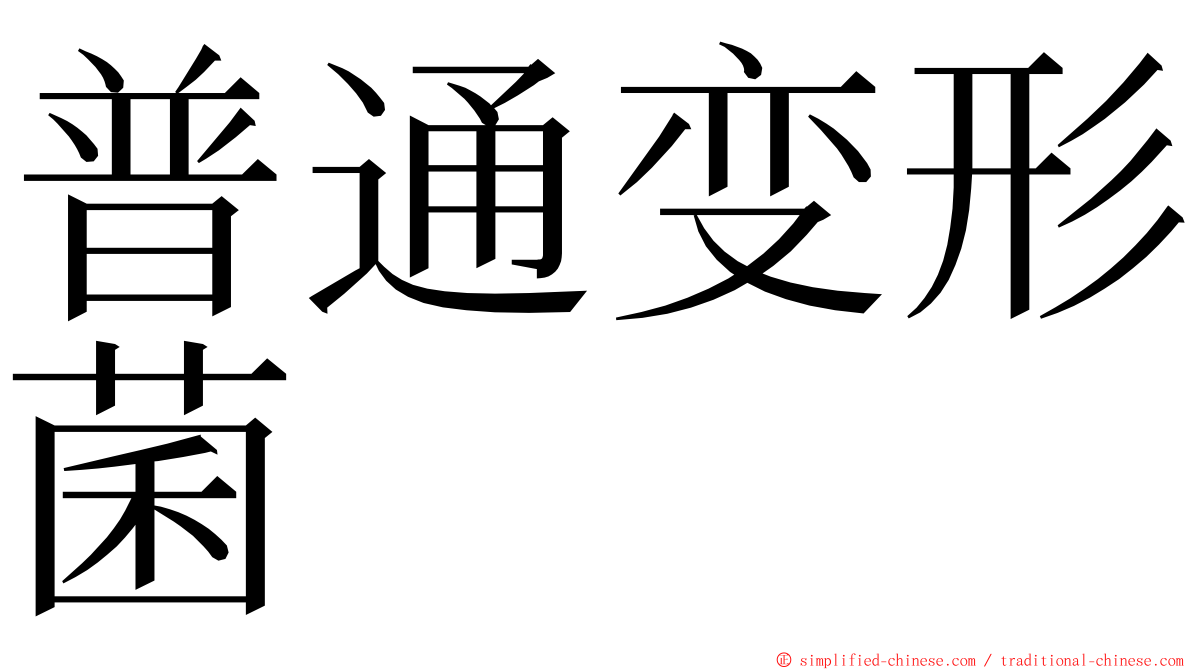 普通变形菌 ming font