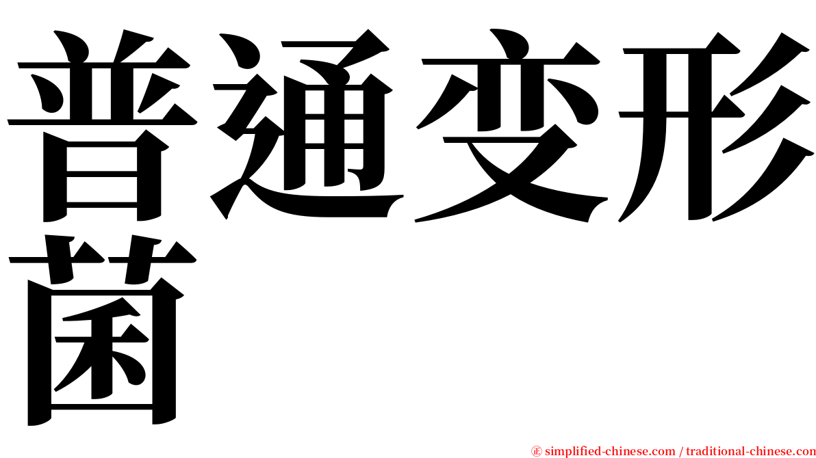 普通变形菌 serif font