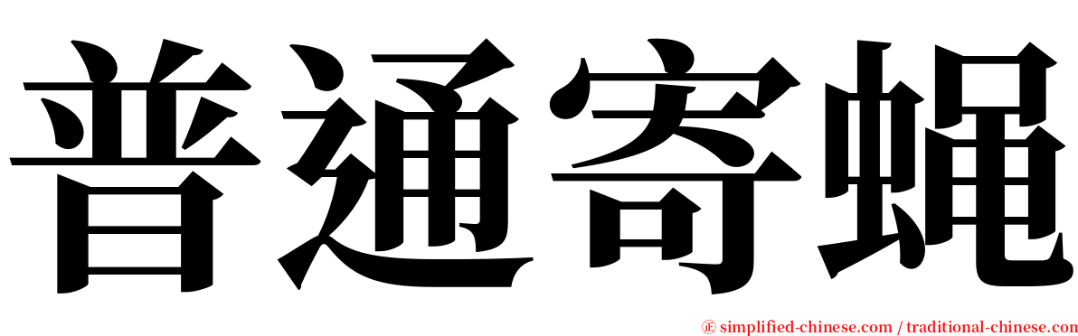 普通寄蝇 serif font