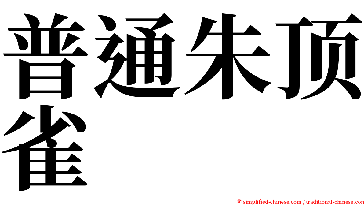 普通朱顶雀 serif font