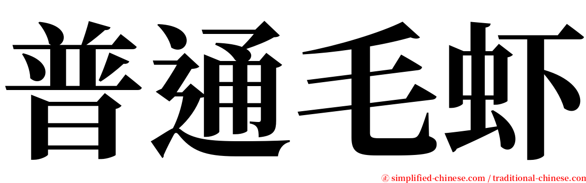 普通毛虾 serif font