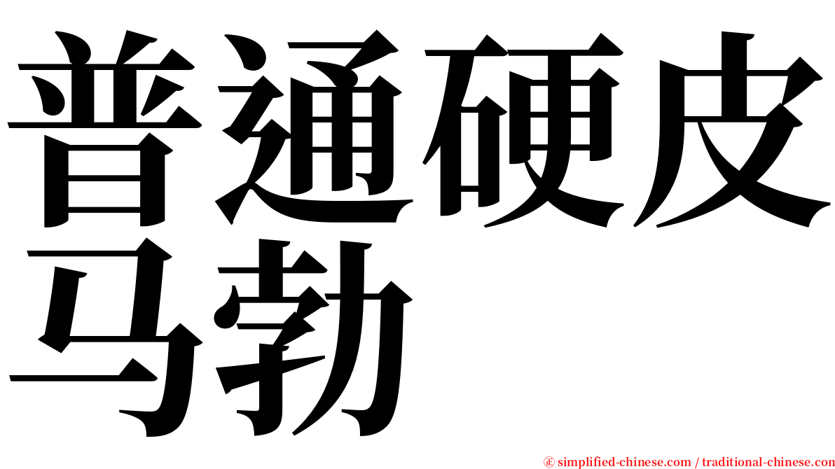 普通硬皮马勃 serif font