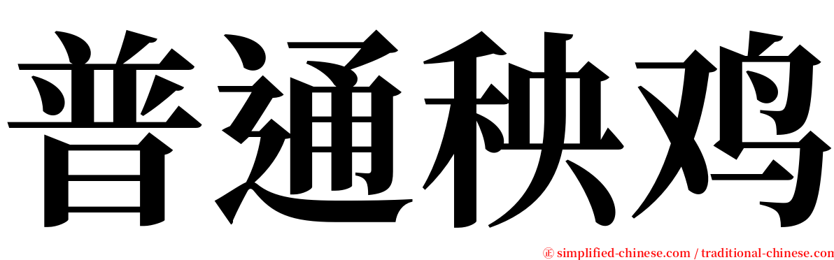 普通秧鸡 serif font