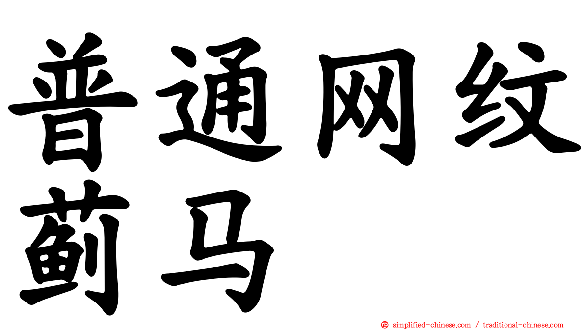 普通网纹蓟马