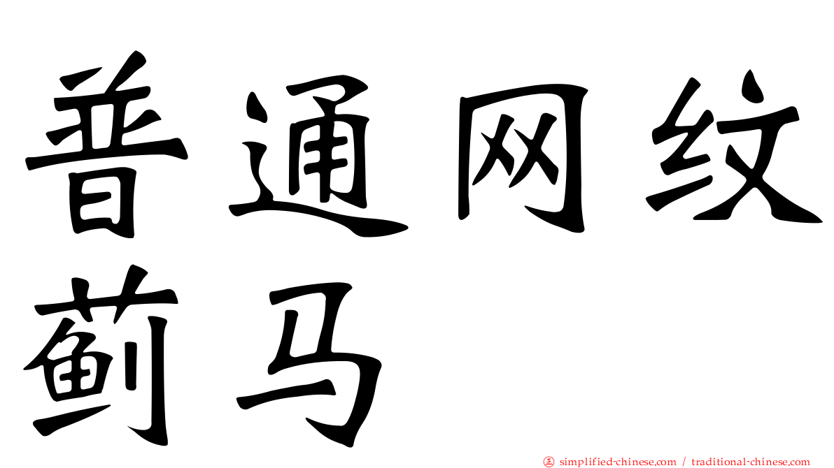 普通网纹蓟马