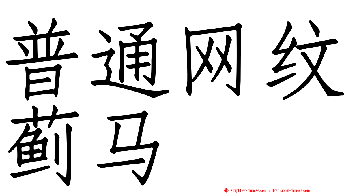 普通网纹蓟马