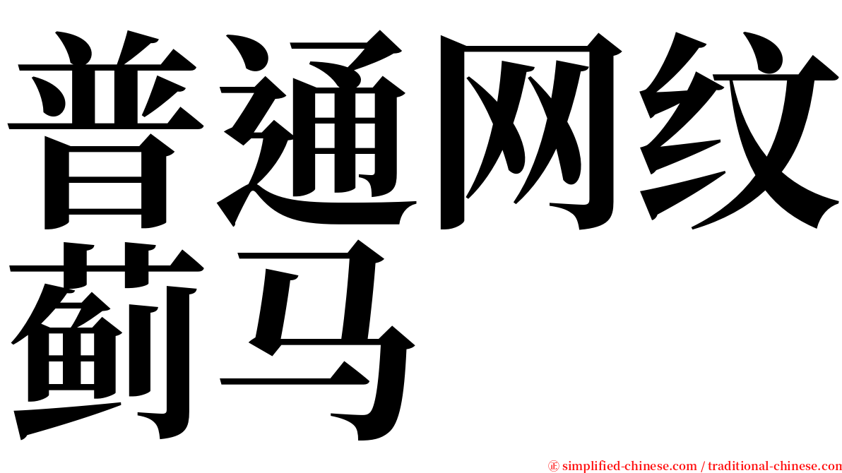 普通网纹蓟马 serif font