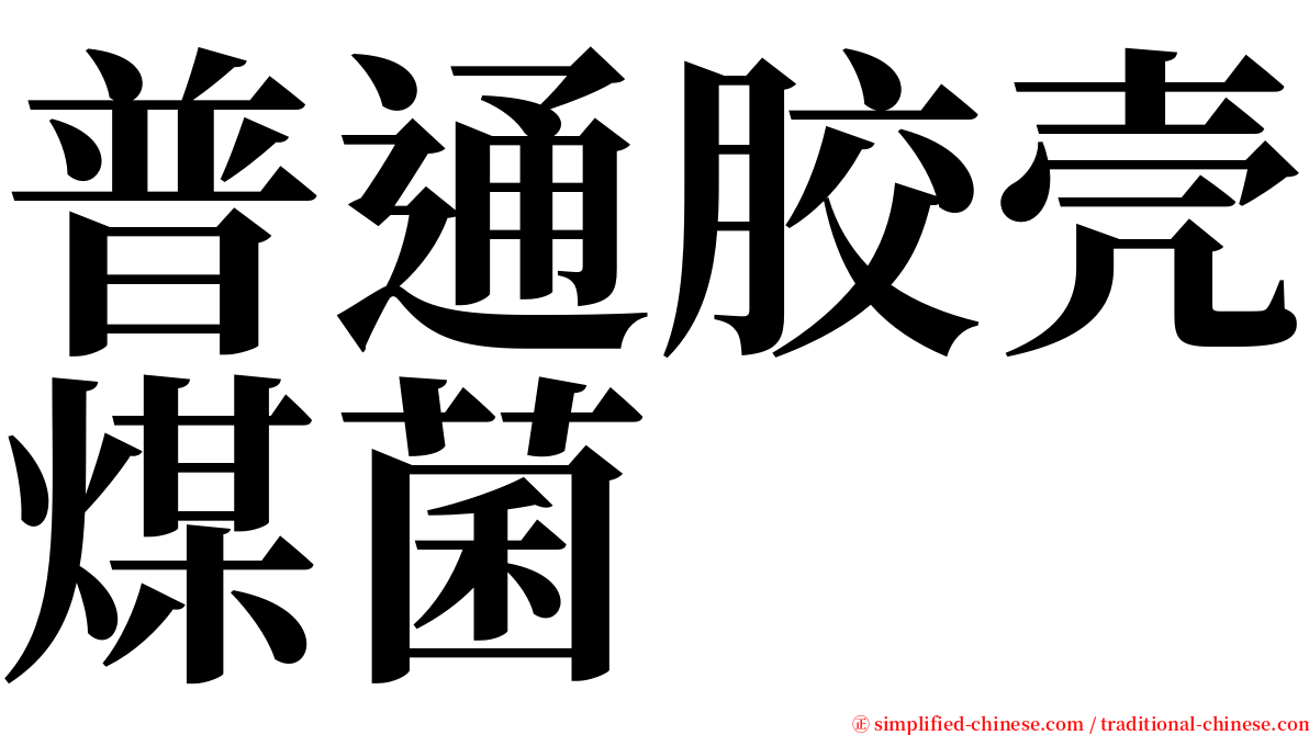 普通胶壳煤菌 serif font