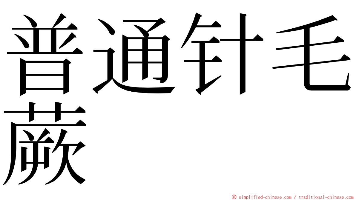 普通针毛蕨 ming font