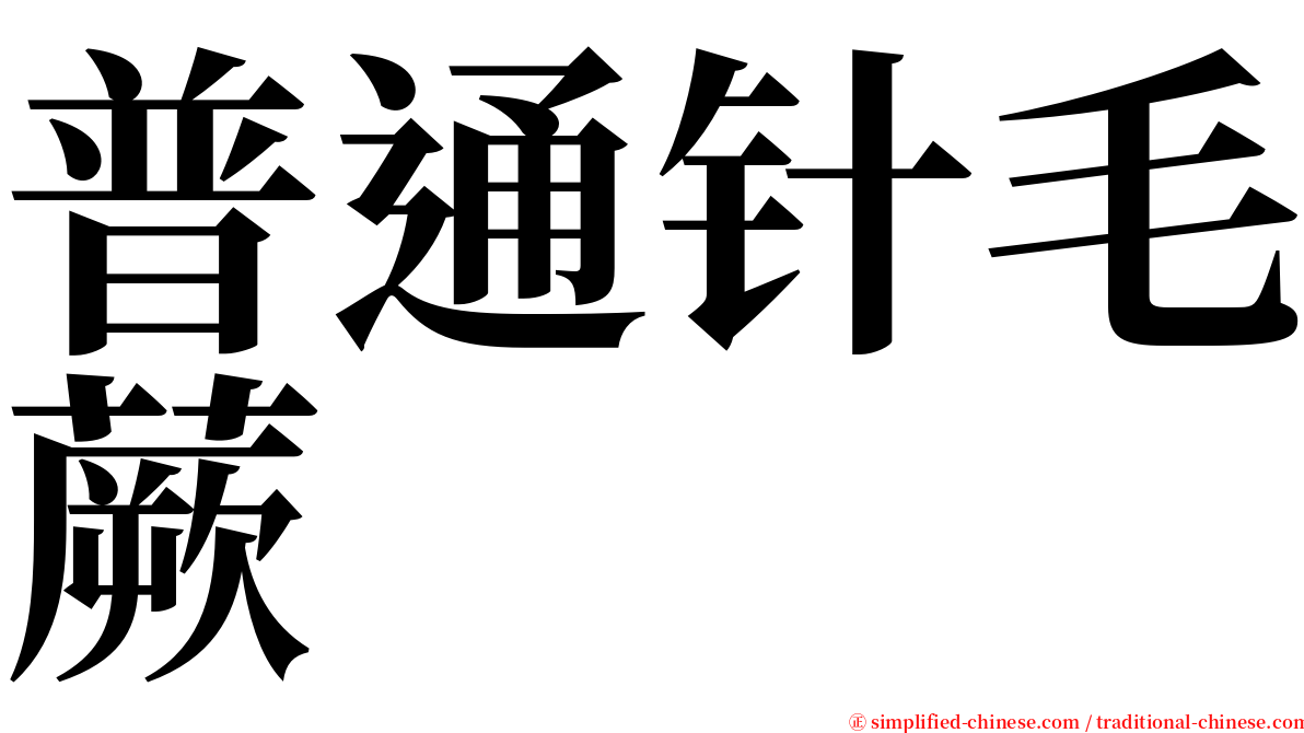 普通针毛蕨 serif font