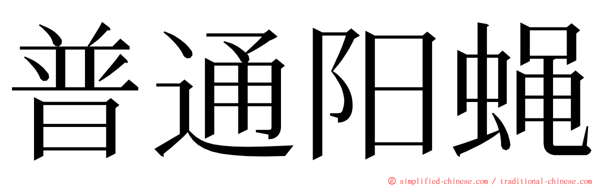 普通阳蝇 ming font