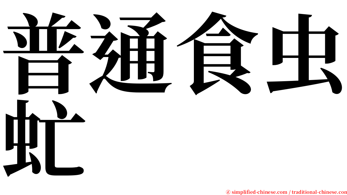 普通食虫虻 serif font