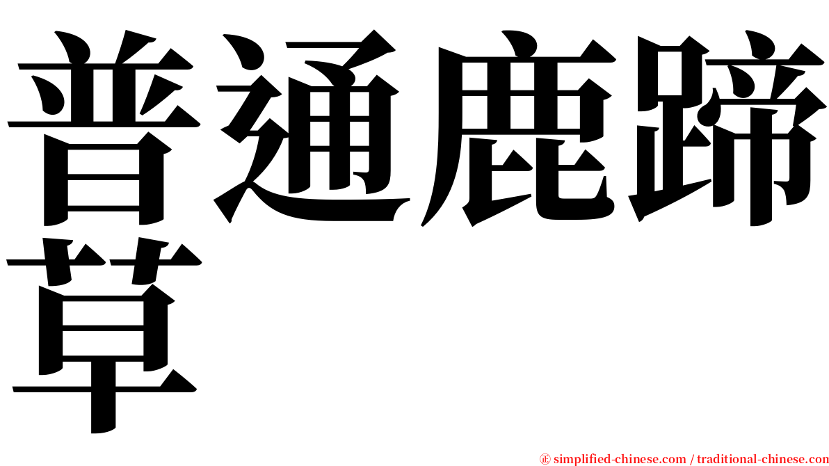 普通鹿蹄草 serif font