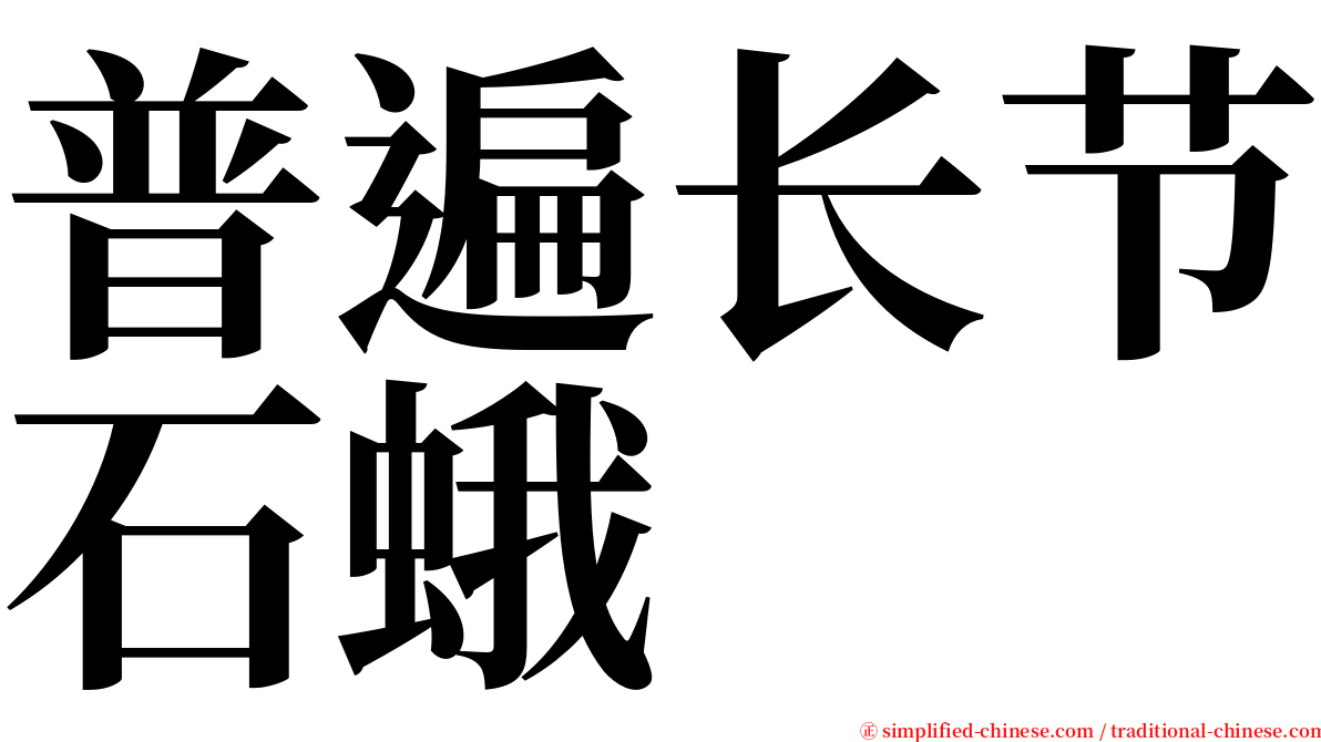 普遍长节石蛾 serif font