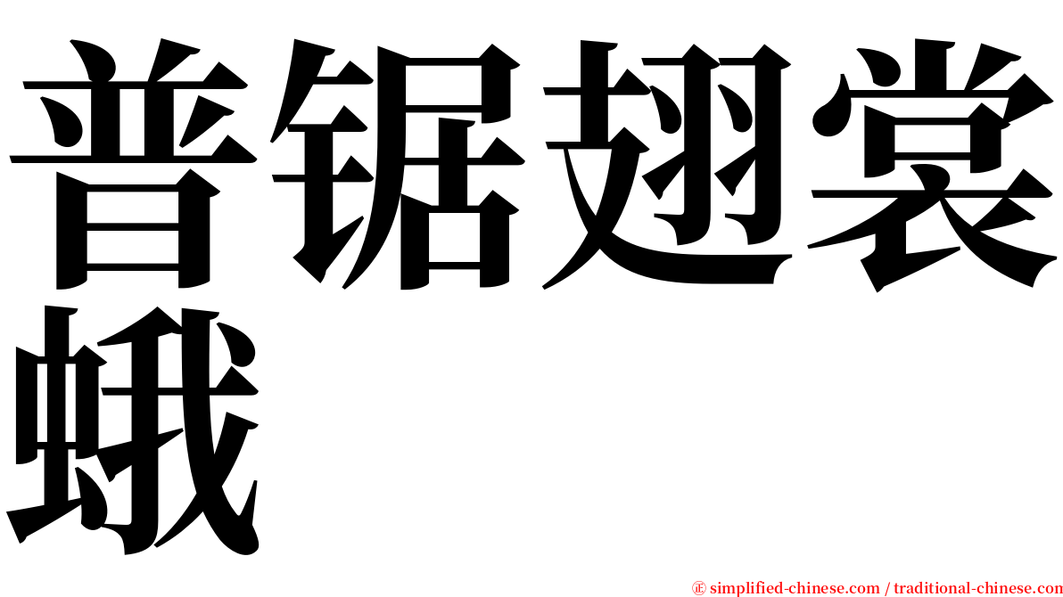 普锯翅裳蛾 serif font