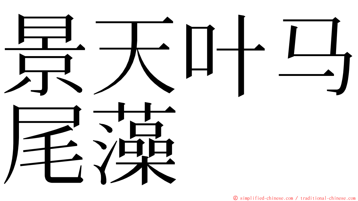 景天叶马尾藻 ming font