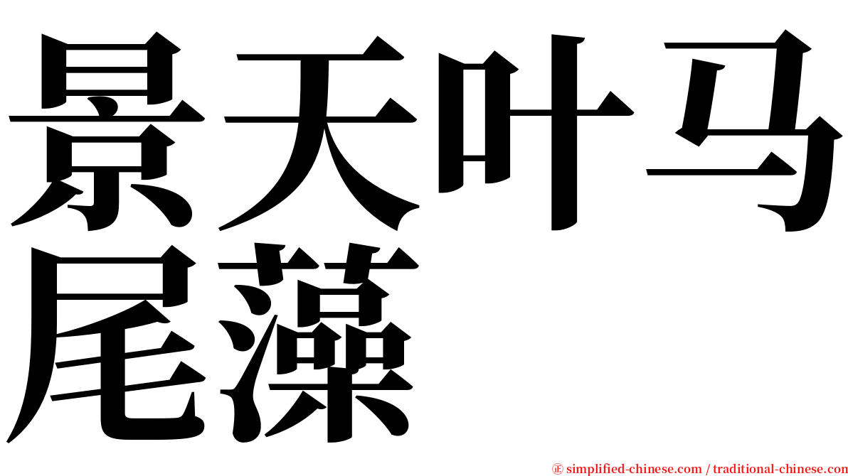 景天叶马尾藻 serif font