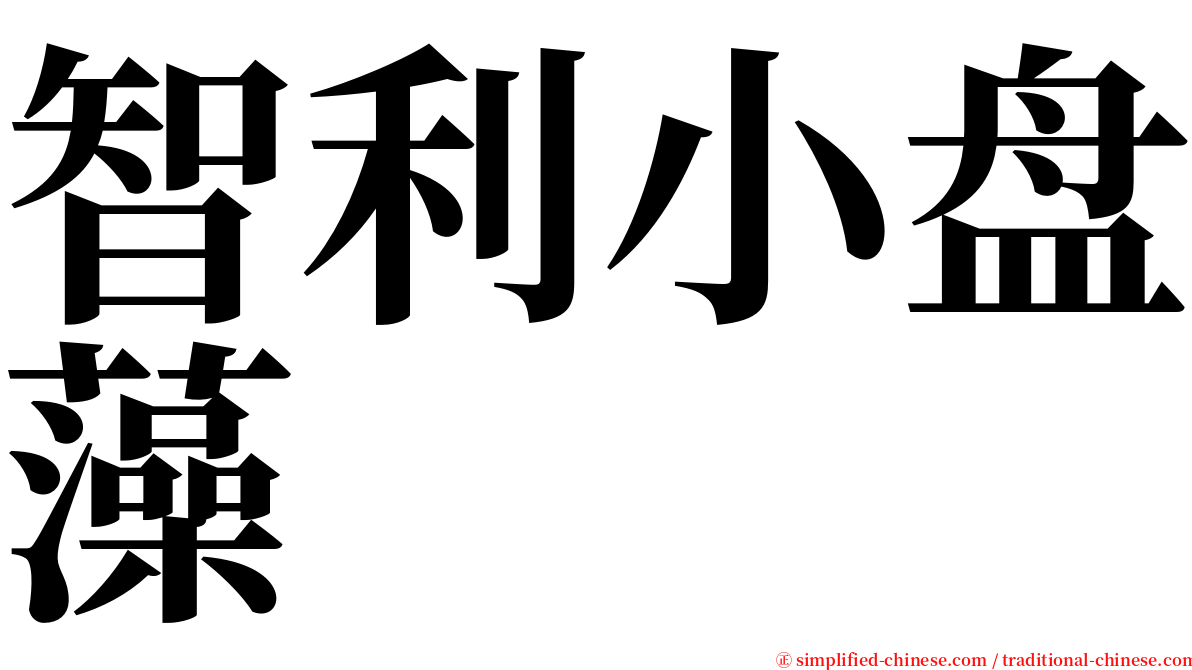 智利小盘藻 serif font