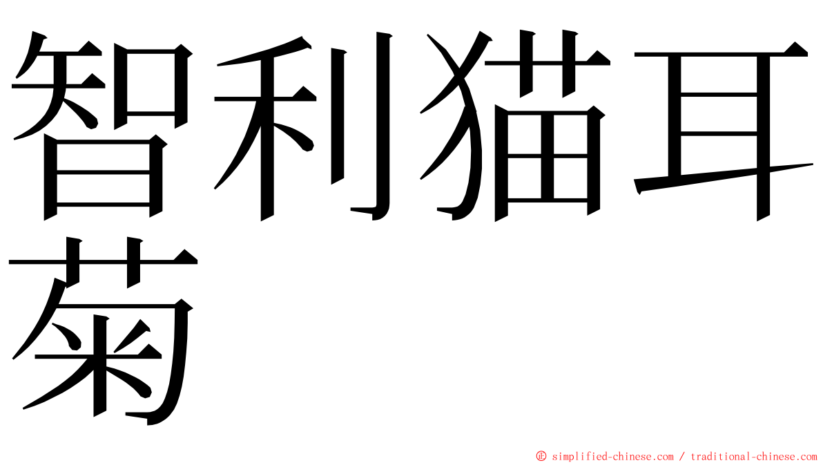 智利猫耳菊 ming font