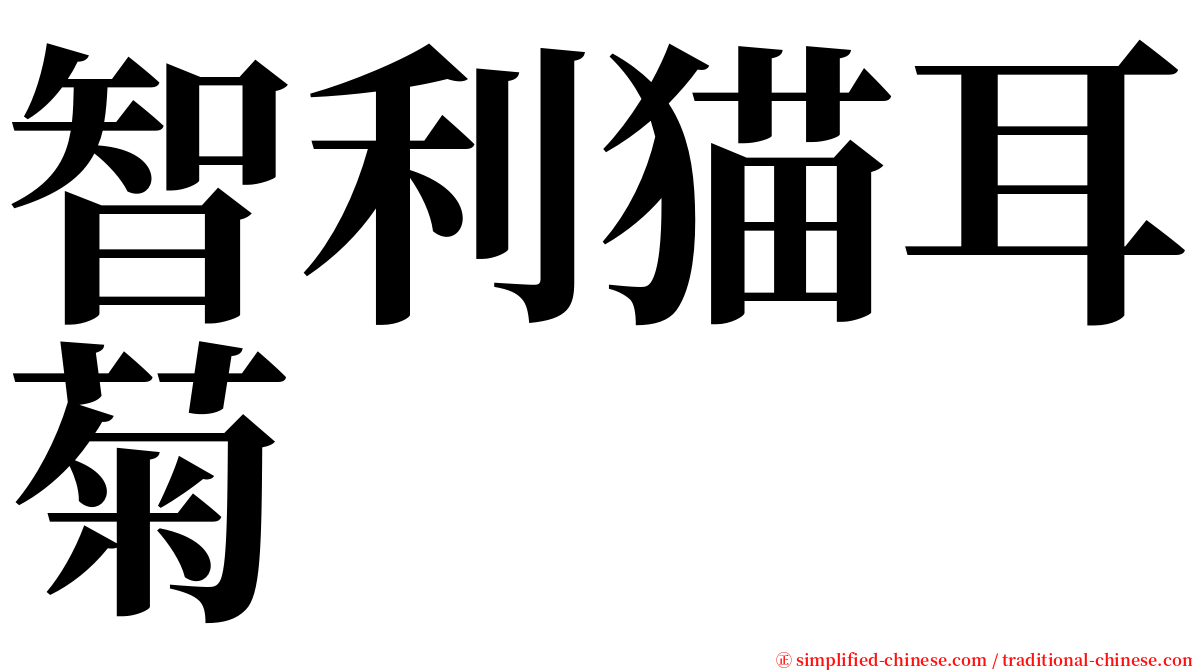 智利猫耳菊 serif font