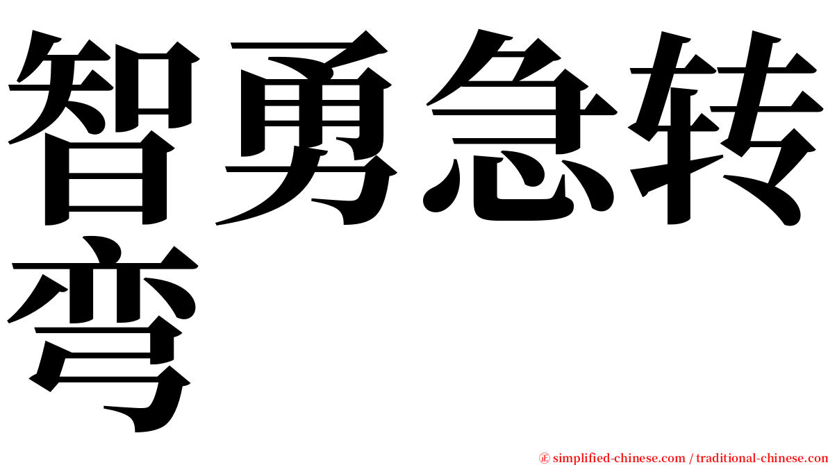 智勇急转弯 serif font