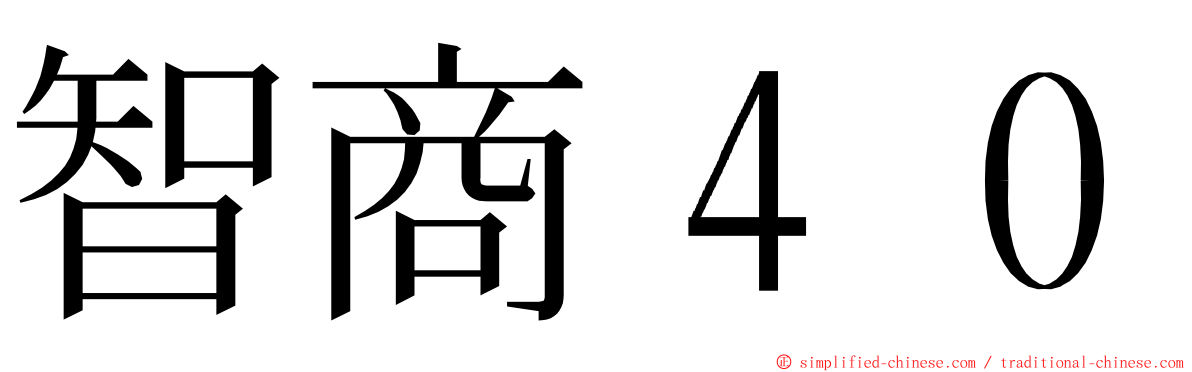 智商４０ ming font