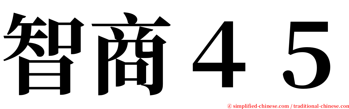 智商４５ serif font