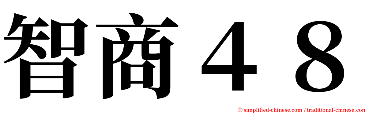 智商４８ serif font