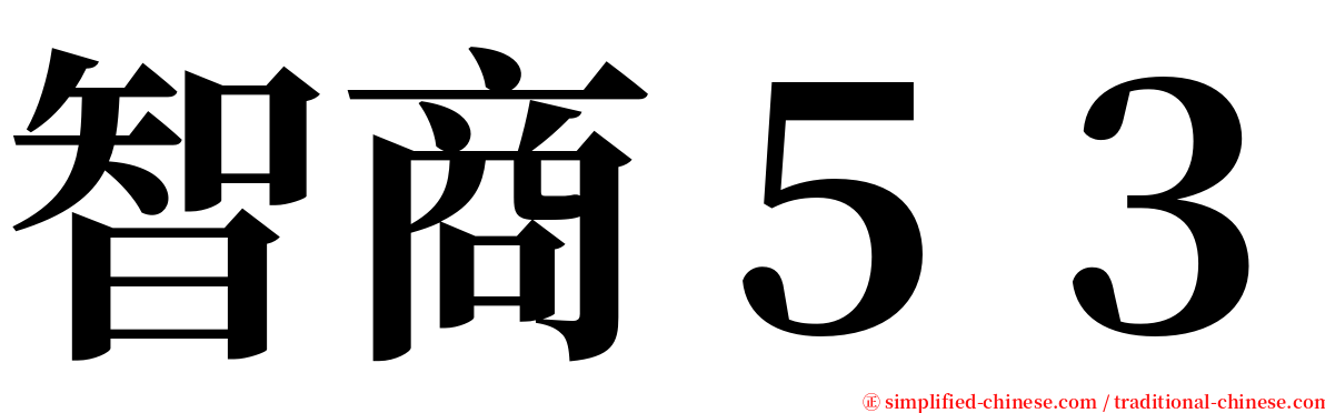 智商５３ serif font