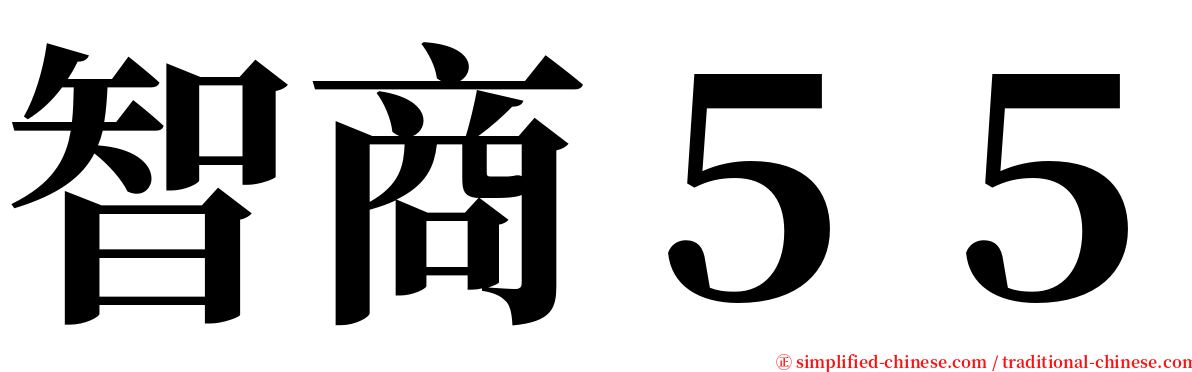 智商５５ serif font