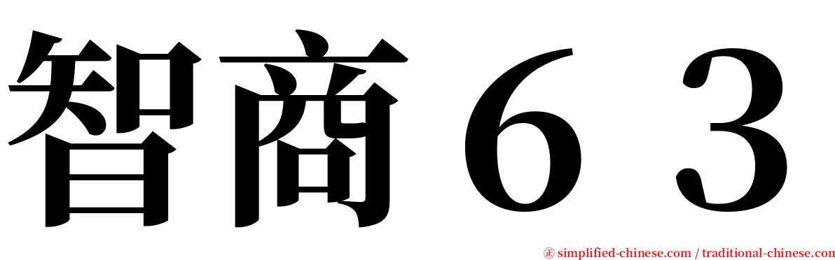 智商６３ serif font