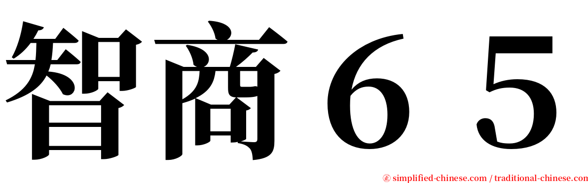 智商６５ serif font