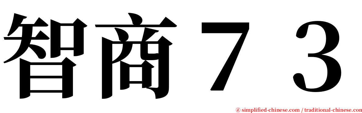 智商７３ serif font