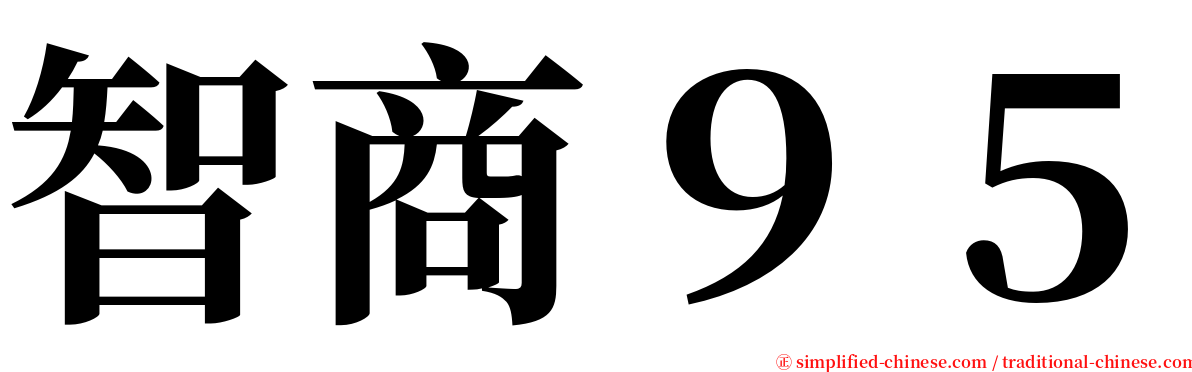 智商９５ serif font