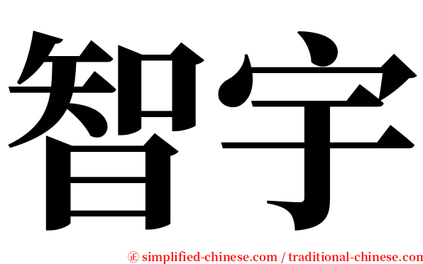 智宇 serif font