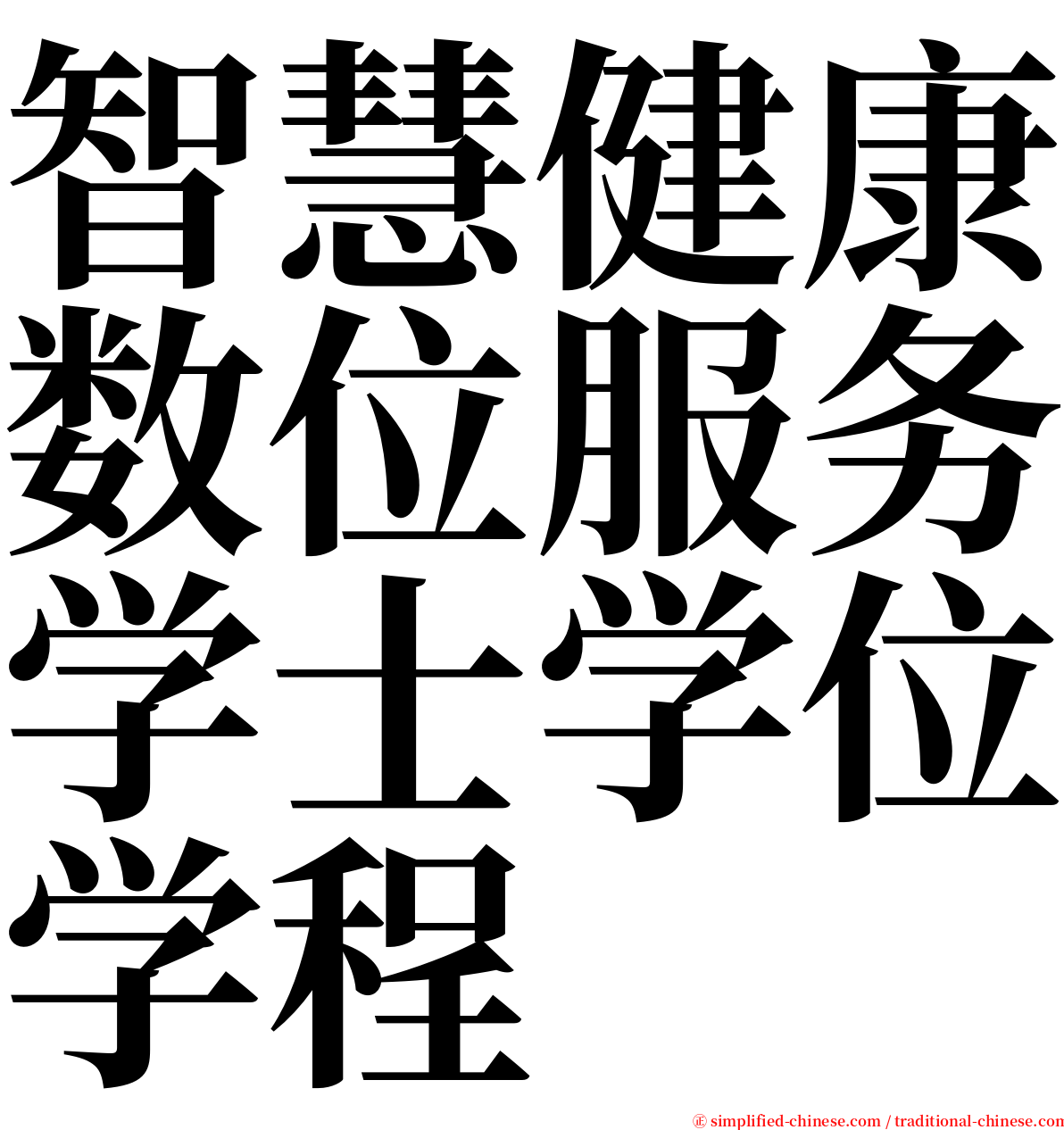 智慧健康数位服务学士学位学程 serif font