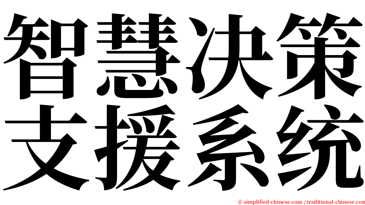 智慧决策支援系统 serif font