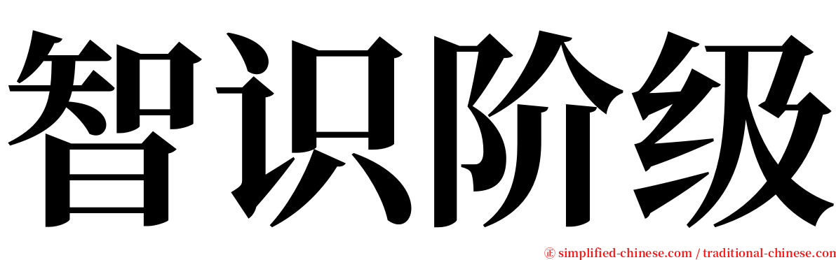 智识阶级 serif font