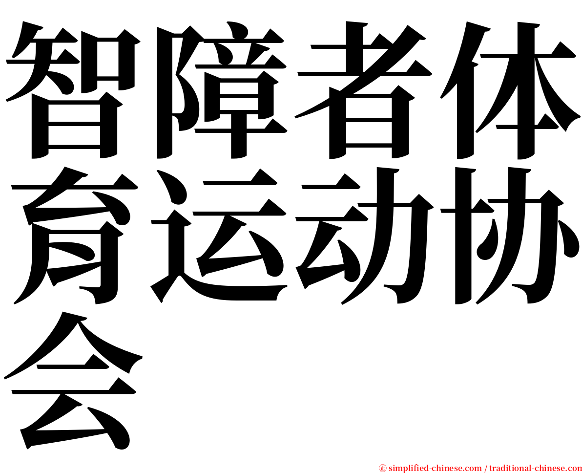 智障者体育运动协会 serif font