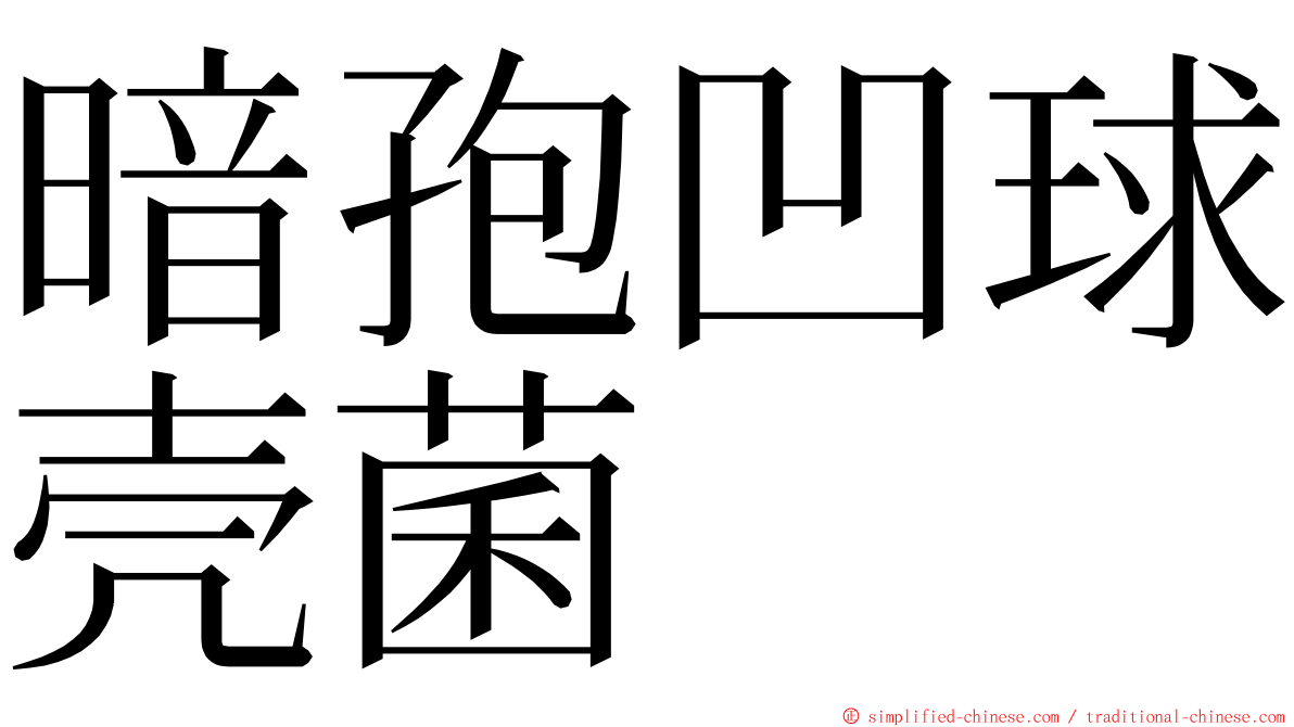 暗孢凹球壳菌 ming font