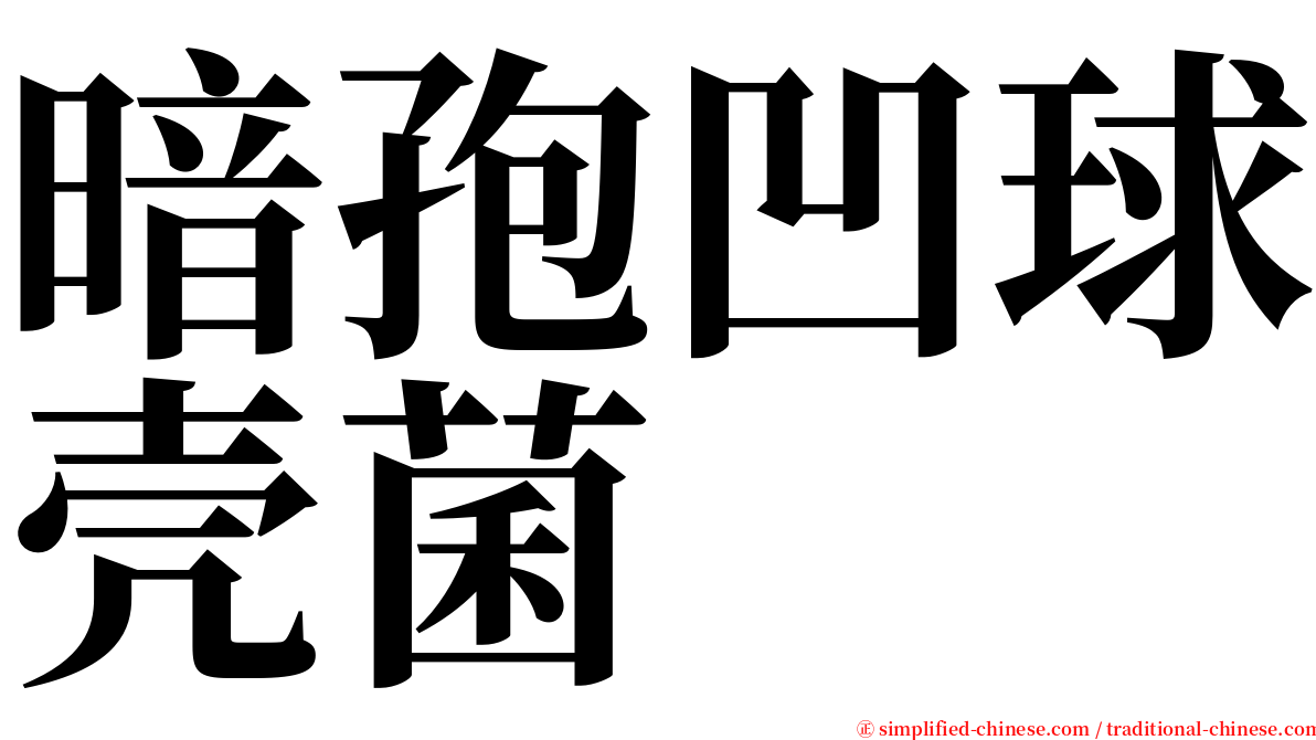 暗孢凹球壳菌 serif font