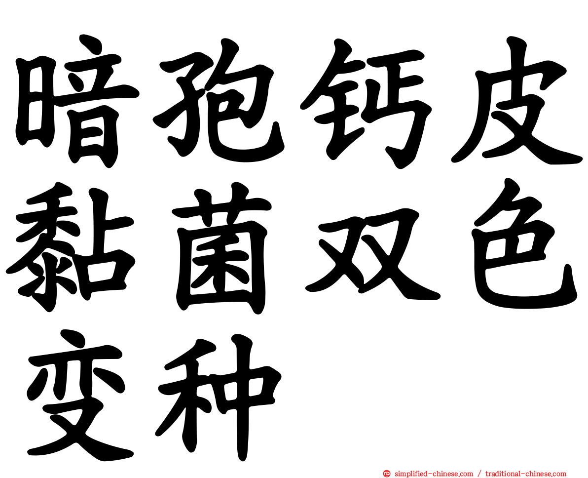 暗孢钙皮黏菌双色变种