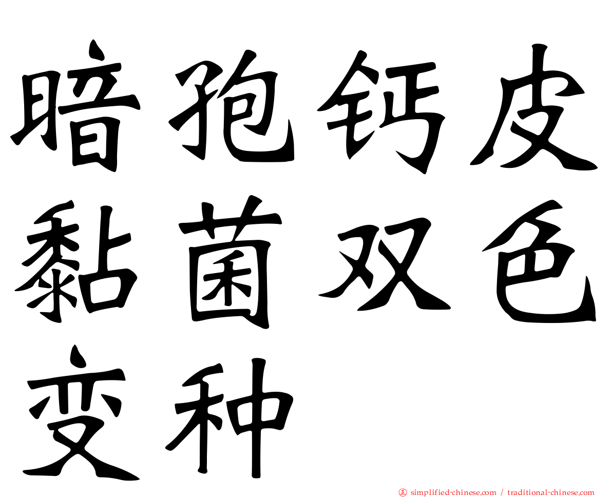 暗孢钙皮黏菌双色变种